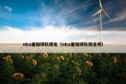 nba富裕球队排名（nba富裕球队排名榜）