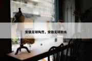 安徽足球陶然，安徽足球教练