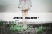 深圳足球彪？ 深圳足球队前身？