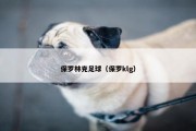 保罗林克足球（保罗klg）