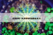 天津单场（天津单场竞猜佣金多少）