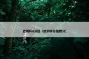 欧洲杯8分组（欧洲杯分组积分）