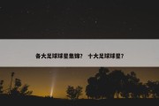 各大足球球星集锦？ 十大足球球星？