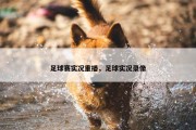 足球赛实况重播，足球实况录像