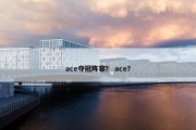 ace夺冠阵容？ ace？