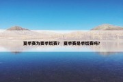 夏季赛为要季后赛？ 夏季赛是季后赛吗？