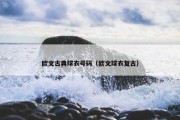 欧文古典球衣号码（欧文球衣复古）