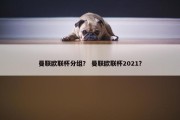 曼联欧联杯分组？ 曼联欧联杯2021？