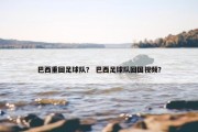 巴西重回足球队？ 巴西足球队回国视频？
