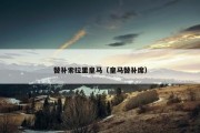 替补索拉里皇马（皇马替补席）