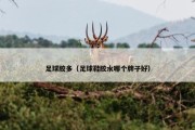 足球胶多（足球鞋胶水哪个牌子好）