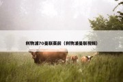 利物浦70曼联赛前（利物浦曼联视频）