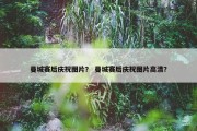 曼城赛后庆祝图片？ 曼城赛后庆祝图片高清？