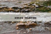 足球队徐宏（徐弘踢球视频）