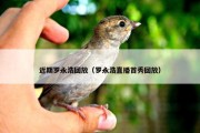 近期罗永浩回放（罗永浩直播首秀回放）