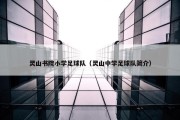 灵山书院小学足球队（灵山中学足球队简介）