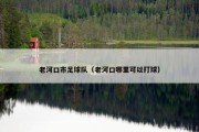 老河口市足球队（老河口哪里可以打球）