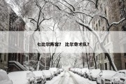 七比尔阵容？ 比尔奇才队？