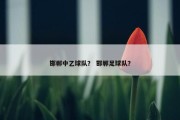 邯郸中乙球队？ 邯郸足球队？