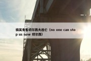 搞笑鬼畜切尔西大逃亡（no one can stop us now 切尔西）