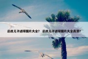 总统儿子进球图片大全？ 总统儿子进球图片大全高清？