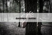 森纳赛季解说（森纳动画）