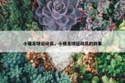 小猪足球运动员，小猪足球运动员的故事