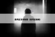 西秀区足球联赛（西秀区新闻）