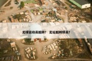 足球运动员脏辫？ 足坛脏辫球员？