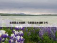 在巴西总统道歉，在巴西总统道歉了吗