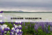 在巴西总统道歉，在巴西总统道歉了吗