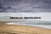 泰国足球队全部（泰国足球队全部名单）
