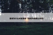 曼城为什么叫狐狸城（曼城为啥那么有钱）