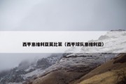 西甲塞维利亚莫比莱（西甲球队塞维利亚）