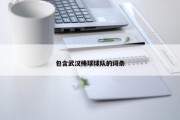 包含武汉棒球球队的词条