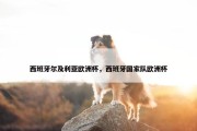 西班牙尔及利亚欧洲杯，西班牙国家队欧洲杯