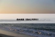 森纳美国（森纳公司简介）