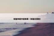 双雄争霸中超联赛（双雄会赛制）