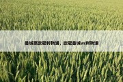 曼城赢欧冠利物浦，欧冠曼城vs利物浦