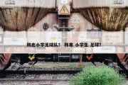 韩愈小学足球队？ 韩寒 小学生 足球？
