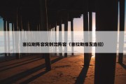 塞拉斯阵容突刺流阵容（塞拉斯爆发连招）