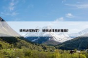 姚明进球教学？ 姚明进球精彩集锦？