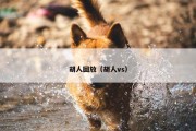 胡人回放（胡人vs）