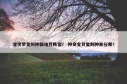 宝可梦复刻神兽推荐阵容？ 神奇宝贝复刻神兽在哪？