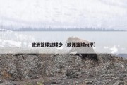 欧洲篮球进球少（欧洲篮球水平）