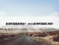 欧洲杯德国表情包？ 2021欧洲杯德国队海报？