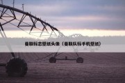 曼联标志壁纸头像（曼联队标手机壁纸）