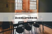 武汉足球队员严的简单介绍