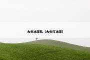 大头冰球队（大头打冰球）