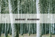 接应积分榜？ 积分榜的作用？